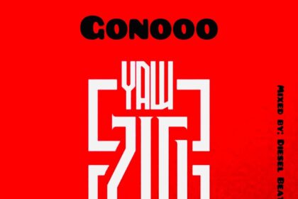 Yaw Zig Gonooo (Laho Cover)