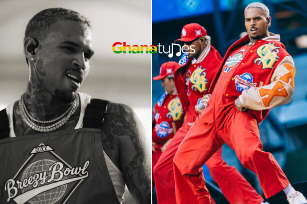 Chris Brown court case