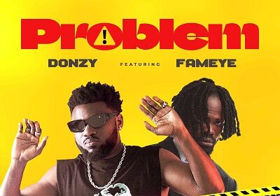 Donzy Problem