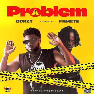 Donzy Problem