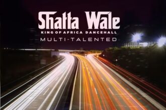 Shatta Wale Multi Talented Freestyle