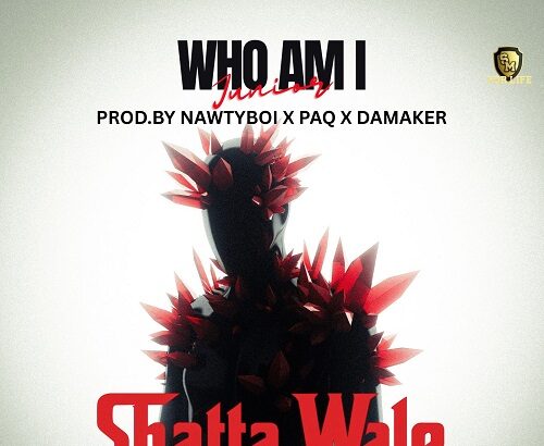 Shatta Wale Who Am I