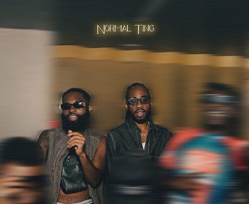 Yung D3mz Normal Ting