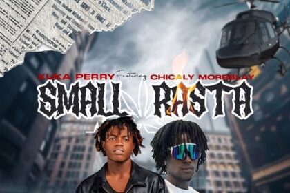 Kuka Perry SMALL RASTA