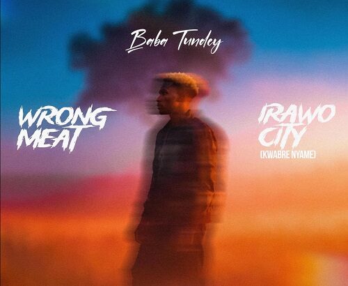 Baba Tundey Wrong Meat (Radio Edit)