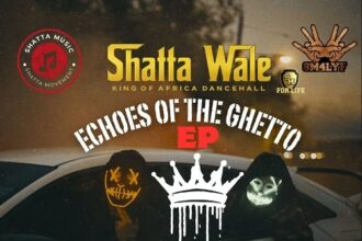 Shatta Wale Lonely Victory