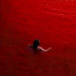 Elvinthedon Beautiful Anthem