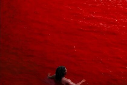 Elvinthedon Beautiful Anthem