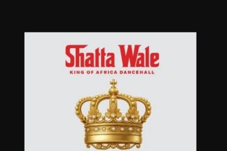 Shatta Wale 48HRS