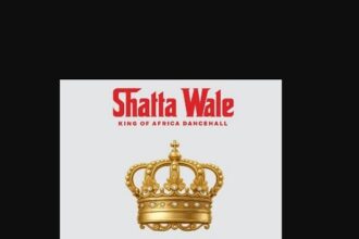 Shatta Wale Big Lie Dat