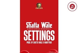 Shatta Wale Settings