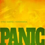 Vybz Kartel & Shenseea Panic