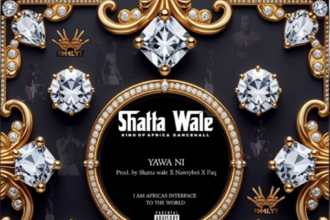 Shatta Wale Yawa Ni
